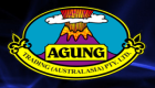 Agung